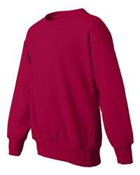 Hanes Youth EcoSmart® Crewneck Sweatshirt P360 – Sustainable Comfort