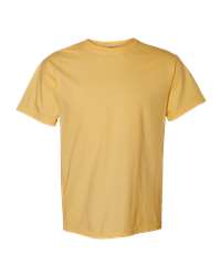 https://cdn.ssactivewear.com/Images/Color/31073_f_fs.jpg