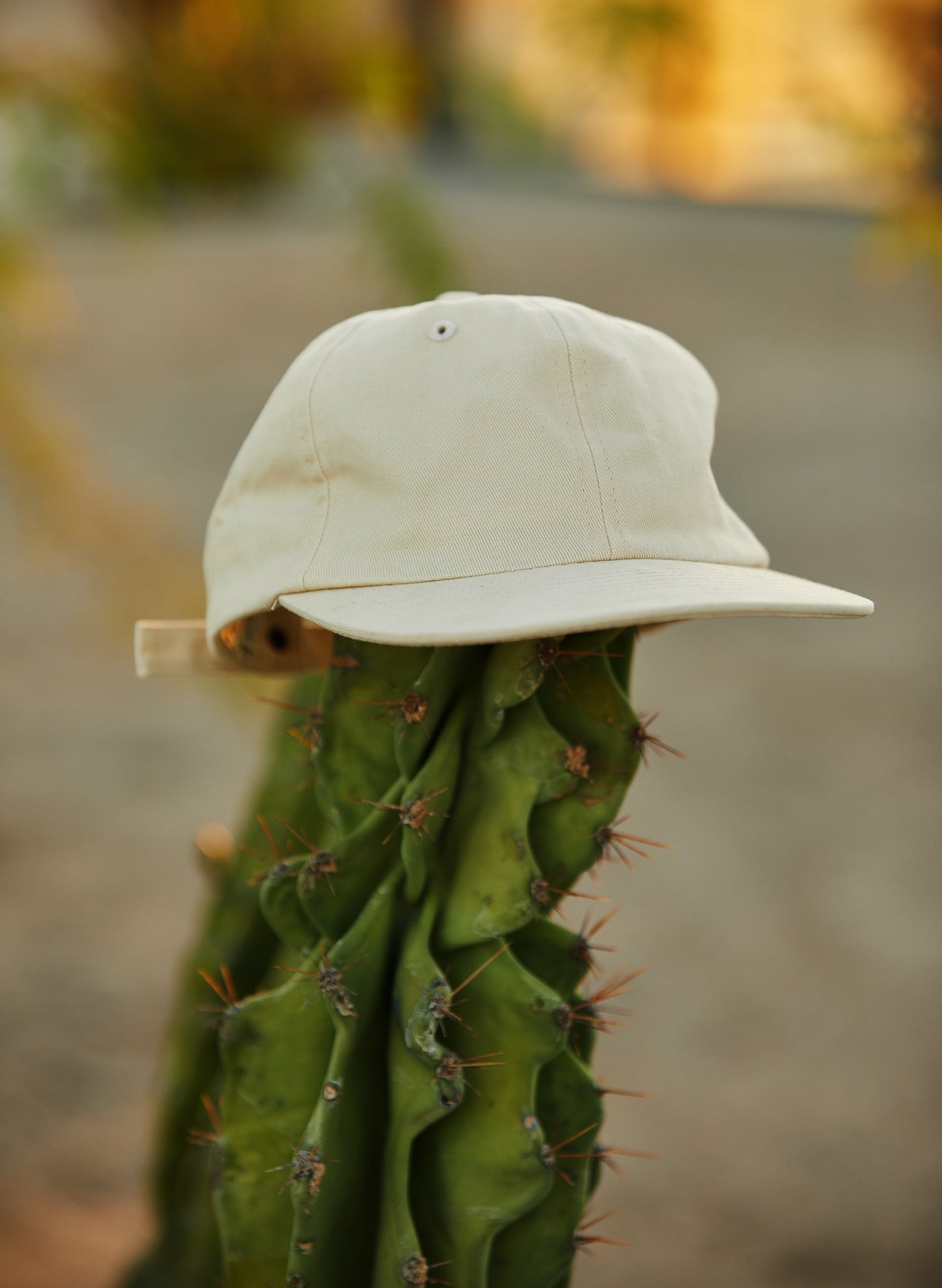 Brushed Cotton Field Trip Hat Unstructured 6-Panel Adjustable Brass Strap